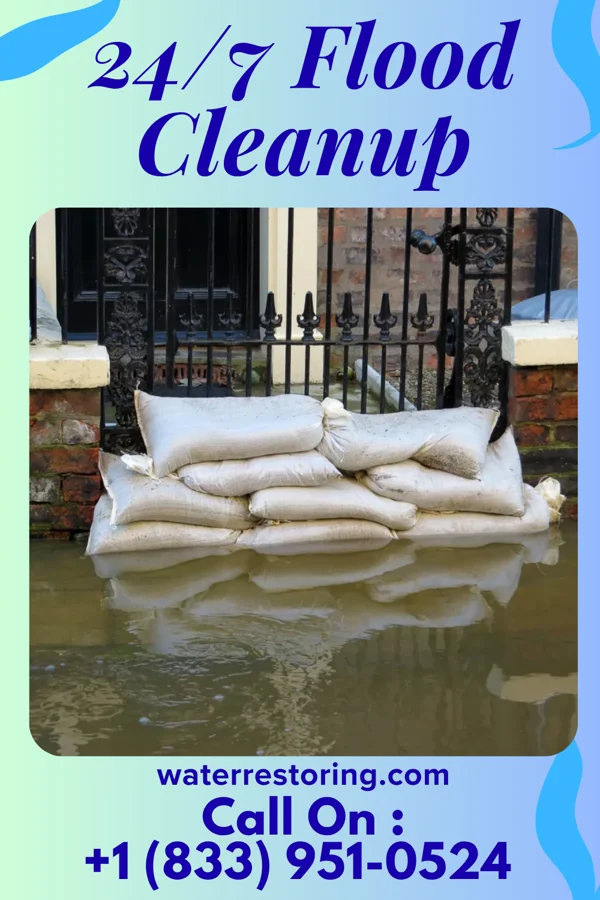 24/7 Flood Cleanup in Caldwell, AR