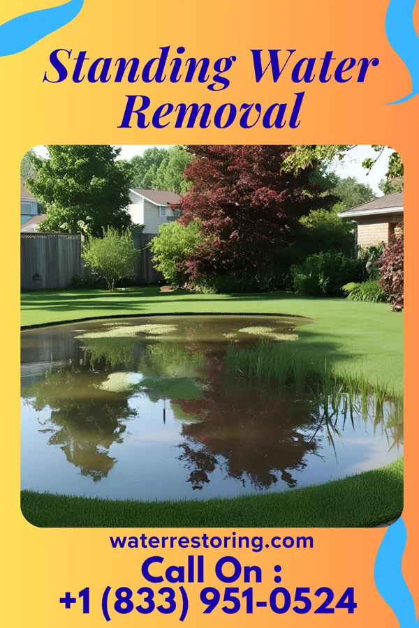 Standing Water Removal in Caldwell, AR